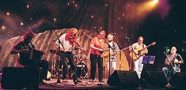 Collector at the National Folk Festival - Photo Bob Bolton