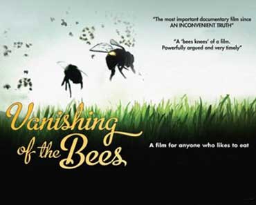 The Vanishing of the Bees