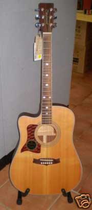Bargain guitars!