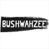 BUSHWAHZEE Benefit Concert