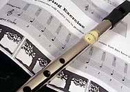 Want to learn the Tin Whistle?